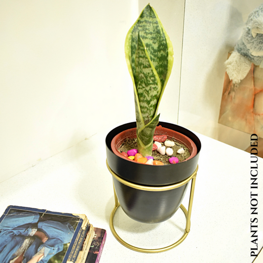 loomsmith-single-pot-desk-planter-in-black-color-with-golden-stand-to-keep-on-table-or-desk