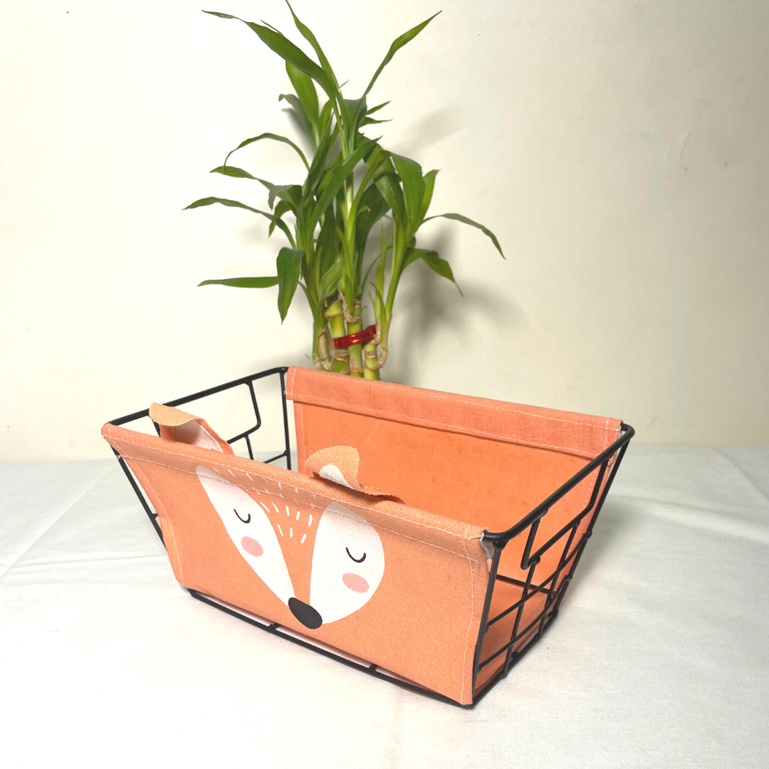 Printed Fruit Storage Basket