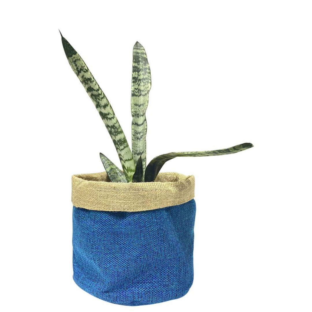 loomsmith-jute-basket-for-pots-indoor-outdoor-use-blue-color-recyclable-biodegradable