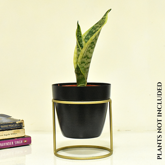 loomsmith-single-pot-desk-planter-in-black-color-with-golden-stand-to-keep-on-table-or-desk