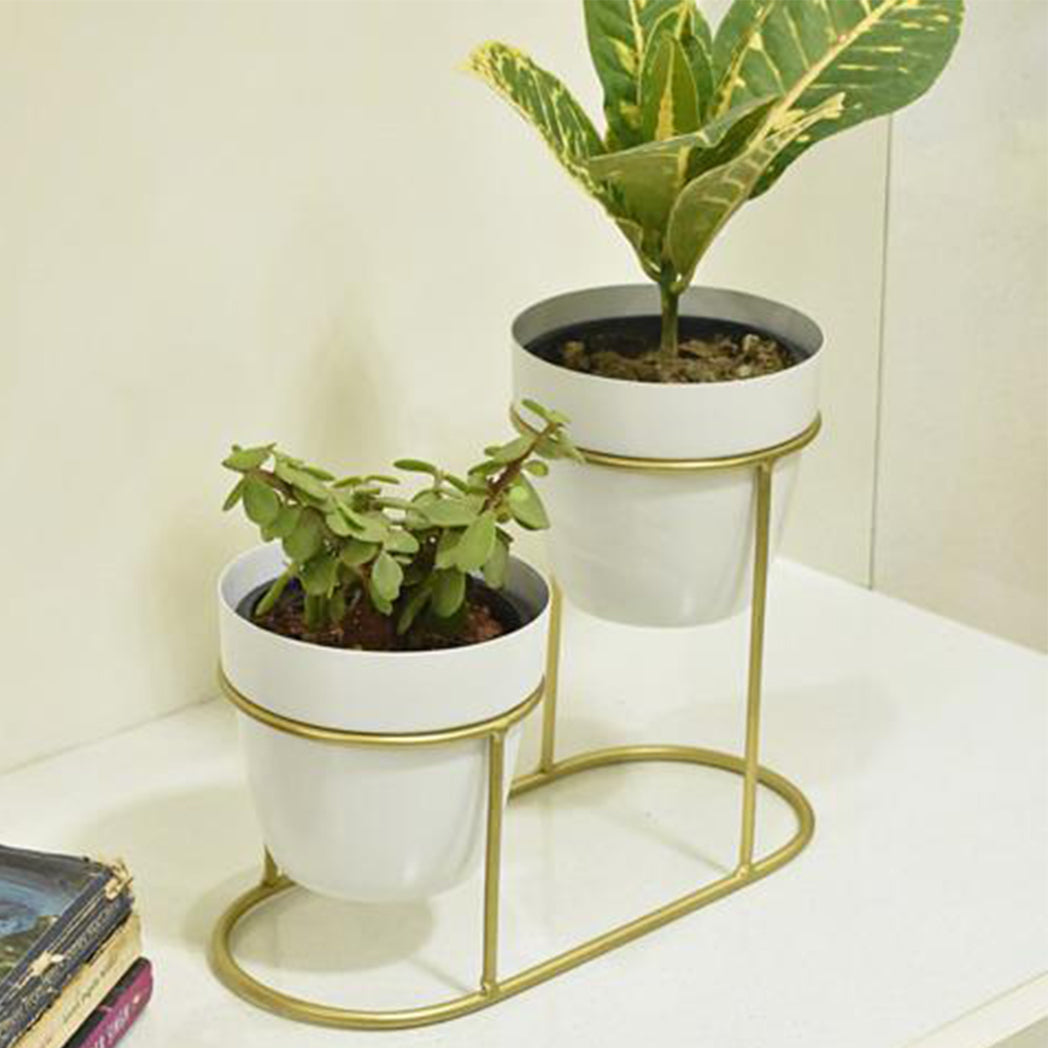 loomsmith-metallic-double-pot-desk-planter-white-color-golden-holder-indoor-planting-ideas-balcony-garden