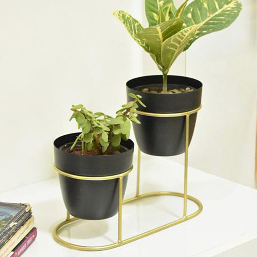 loomsmith-metallic-double-pot-desk-planter-black-color-golden-holder-indoor-planting-ideas-balcony-garden
